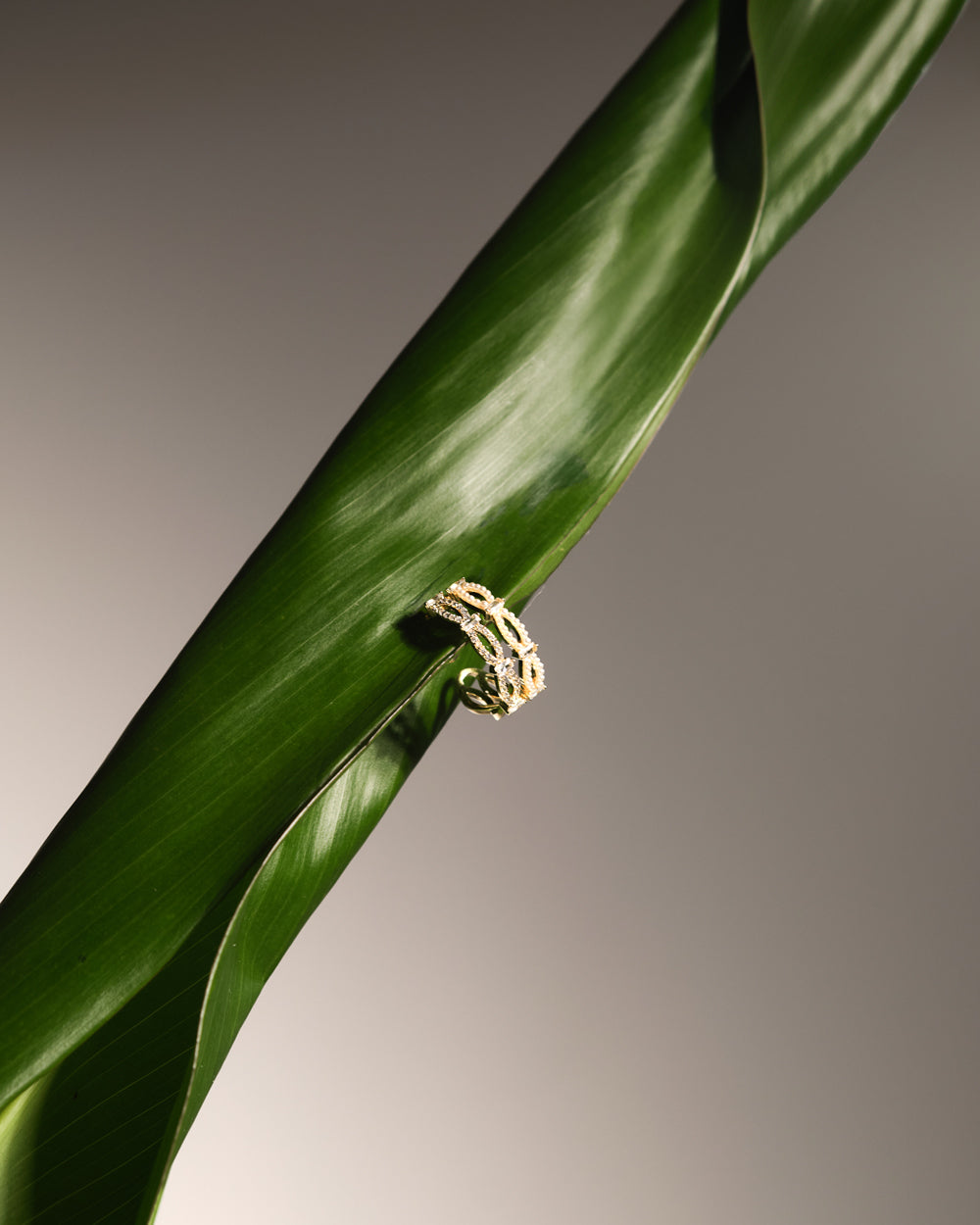 Perla bloom ring